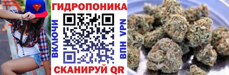 Марихуана гибрид закладки Калач
